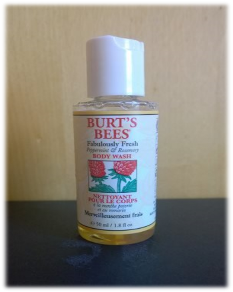 Burt's Bees Bodywash