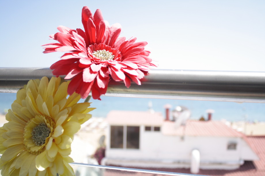 ocean view albufeira